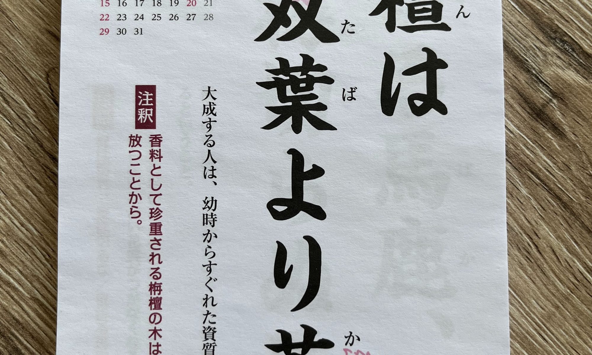 Kotowaza - Sprichwörter auf Japanisch: 栴檀は双葉より芳し